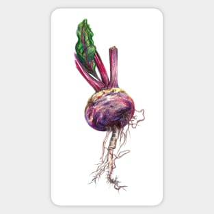 Beetroot Sticker